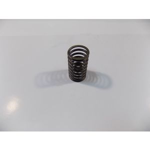 Пружина клапана внутренняя TDL16-36 4L /Inner valve spring