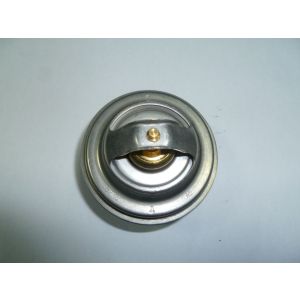 Термостат BF6M1015C-LA G1A (T=87 град.С/Thermostat 0426 2003