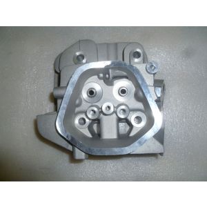 Головка цилиндра SGG5000/Head comp, cylinder
