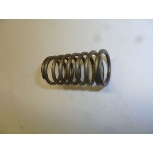Пружина клапана внутренняя TDQ 20 4L/Inner valve spring