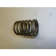 Пружина клапана внешняя TDQ 20 4L/Outer valve spring (2409000300400)