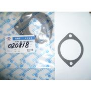 Прокладка крышки термостата TDQ 38 4L/Thermostat cover gasket