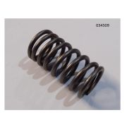 Пружина клапана внутренняя WP4.1D80E200/Inner Valve Spring (2010325)