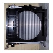 Радиатор охлаждения WP4.1D100E200/Radiator