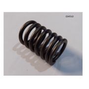 Пружина клапана наружная WP4.1D80E200/Outer Valve Spring (2010328)