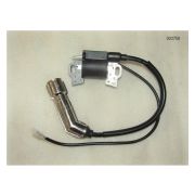 Катушка зажигания SGG 10000Ei,SV460 до 11.2024 / Ignition coils (20028-00030-00)
